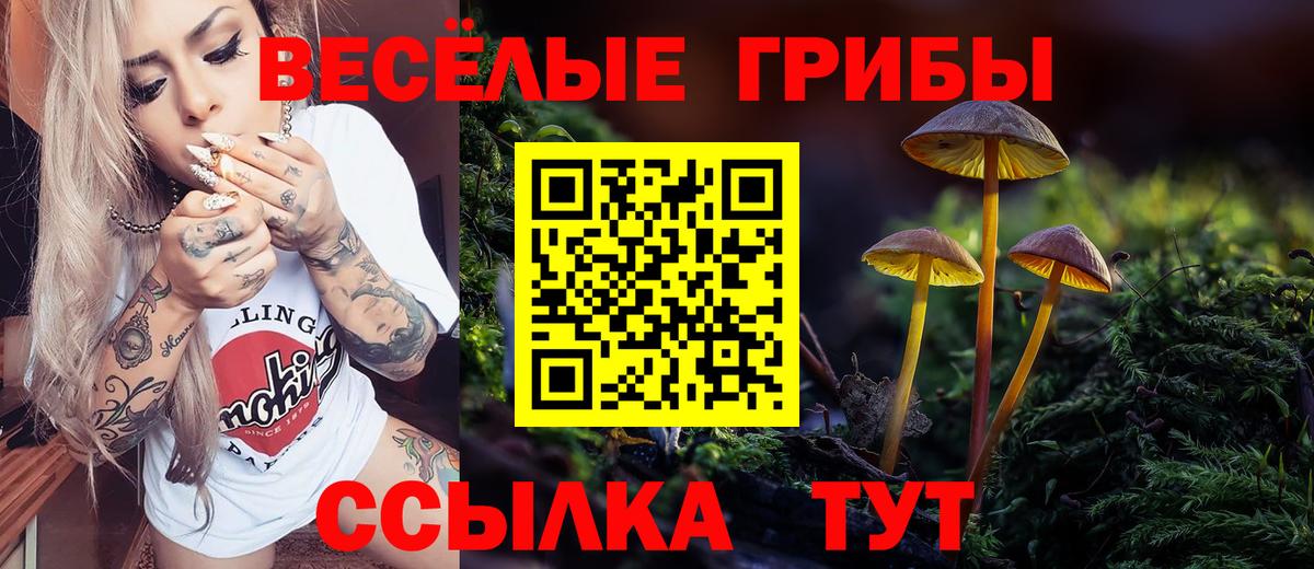 Псилоцибиновые грибы прущие грибы  Вход с VPN  где купить наркотик  Калуга  Галлюциногенные грибы Psilocybe 